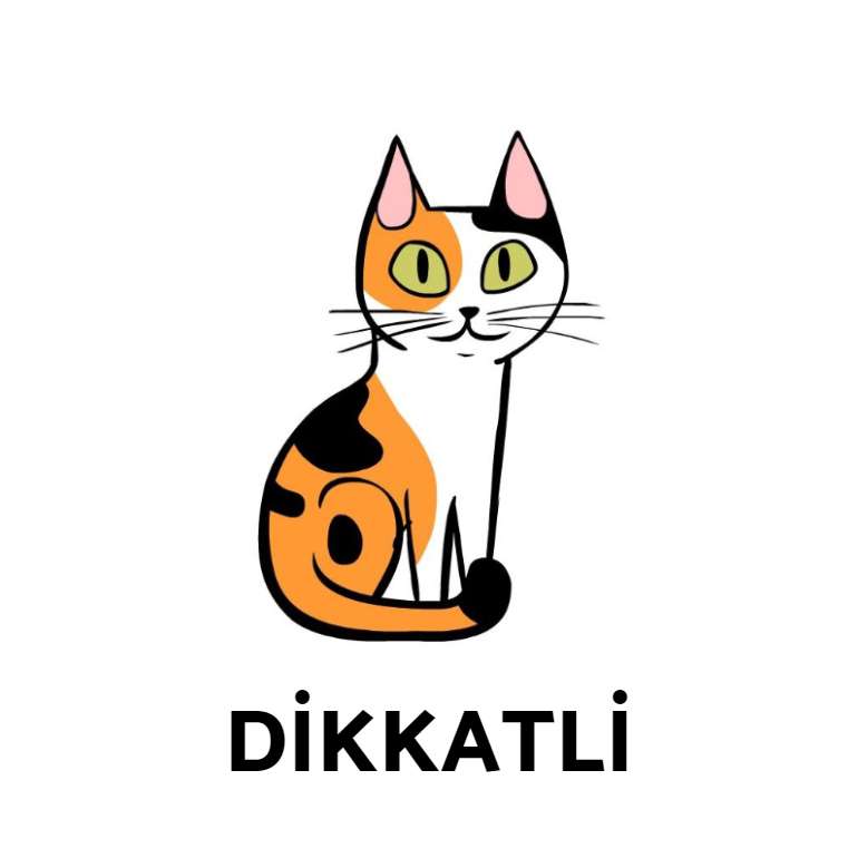 kedilerin beden dili
