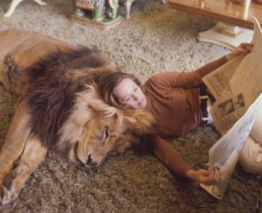 Tippi Hedren and Neil the Lion