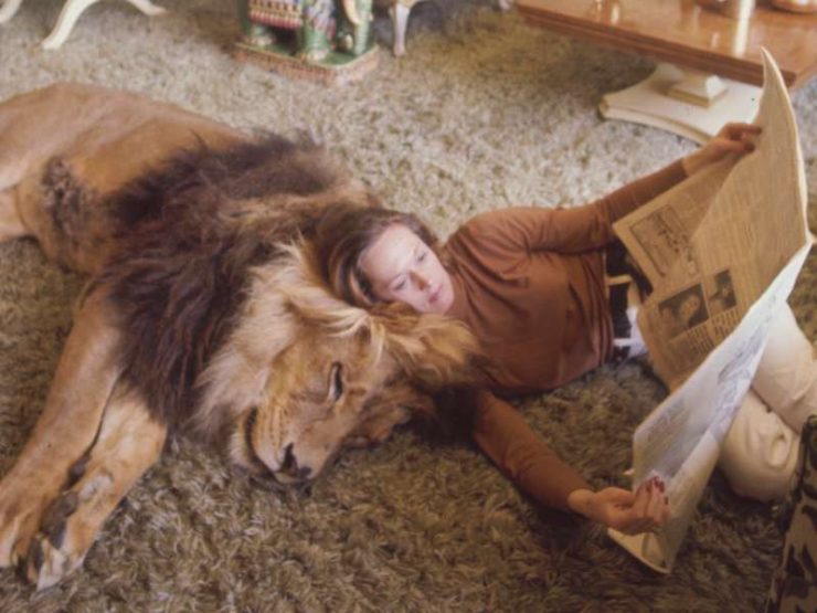Tippi Hedren and Neil the Lion